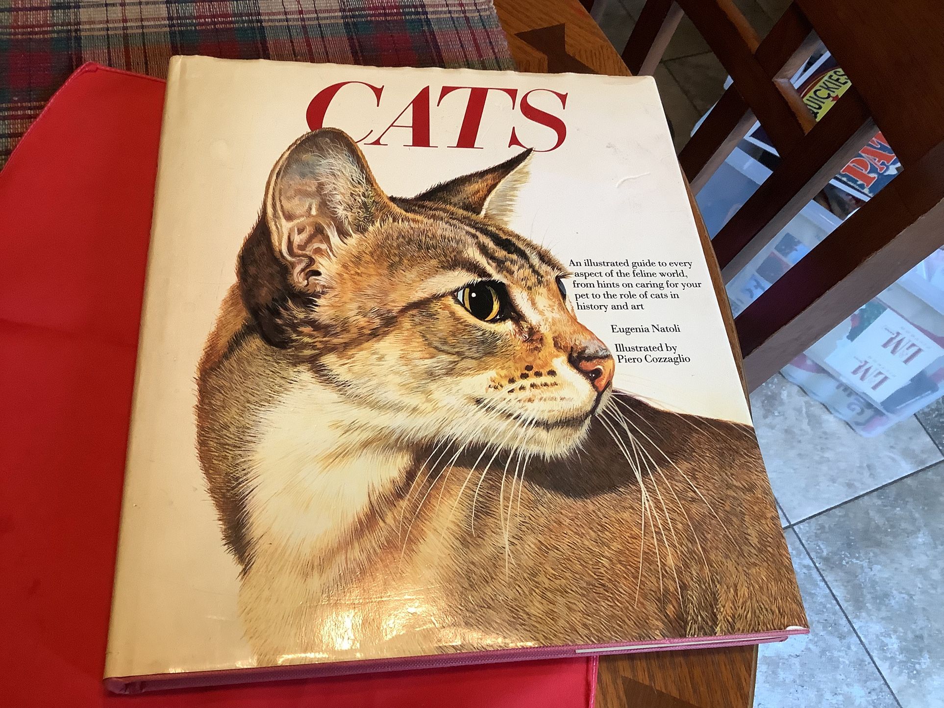 Cats: Eugene Anatolia hard cover book great pictures and a great read.