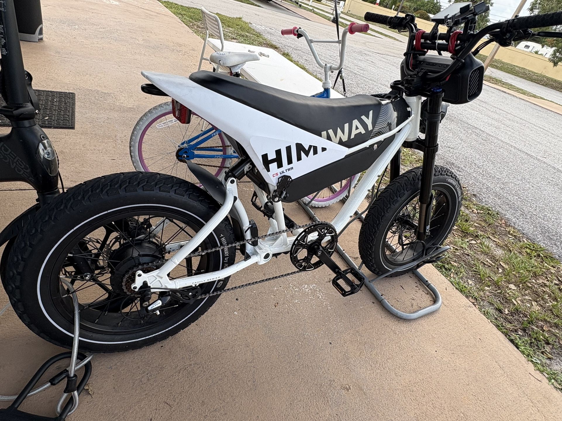 Electric Bike