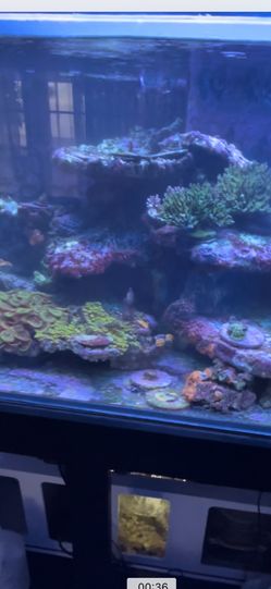 Aquarium Rocks