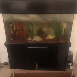 50-60 Gallon Tank