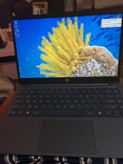 HP Laptop