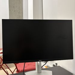 Dell 24” Monitor