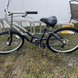 Schwinn Cruiser