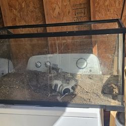 Fish/reptile Tank