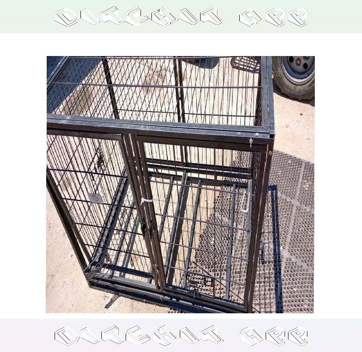 Heavy-Duty Pet Cages - Security and Comfort for Your Animal Buddy action daughter