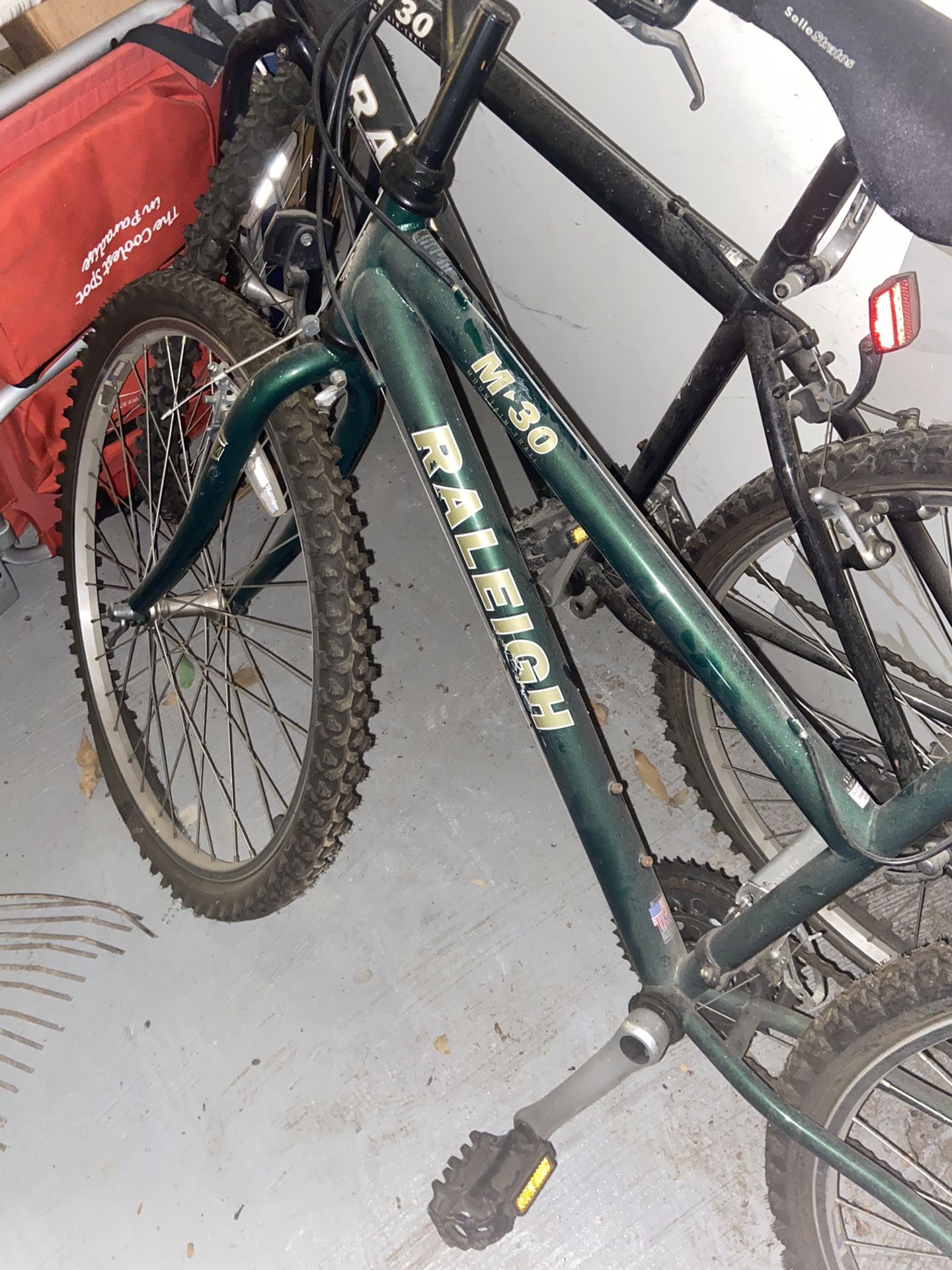 Raleigh m30 mountain bike for Sale in Topanga, CA OfferUp