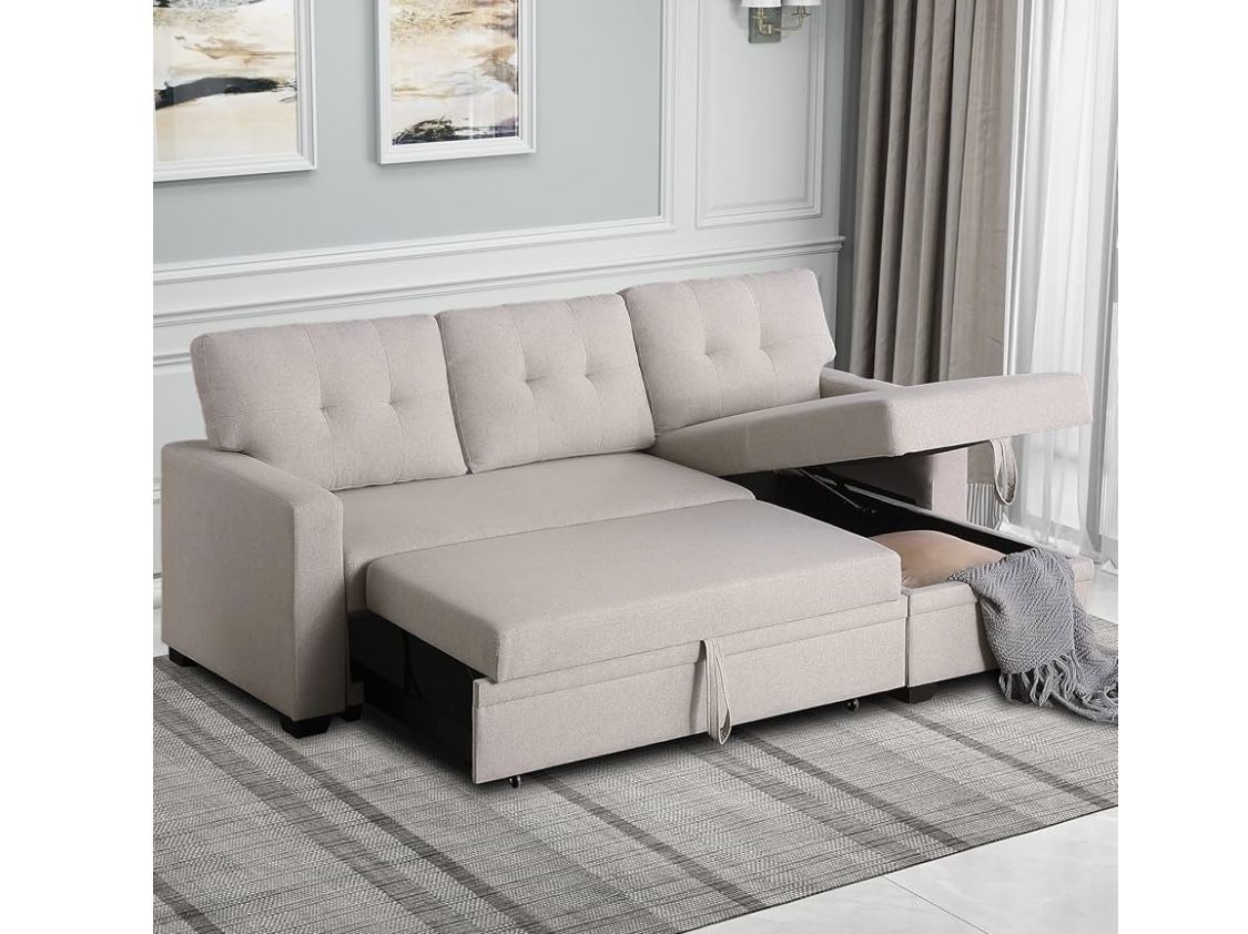 Couch with Pull Out Bed And Storage