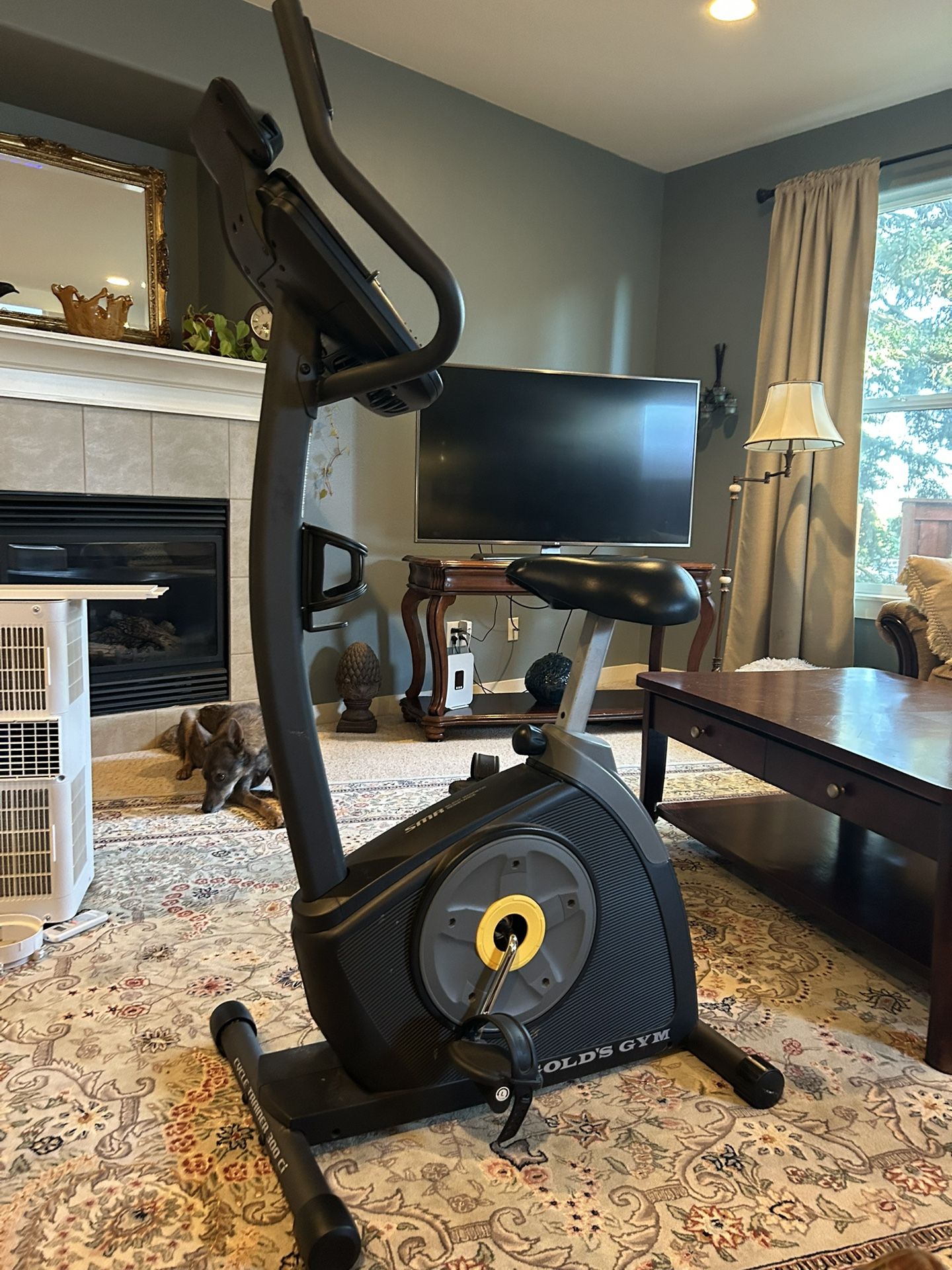 Exercise bike