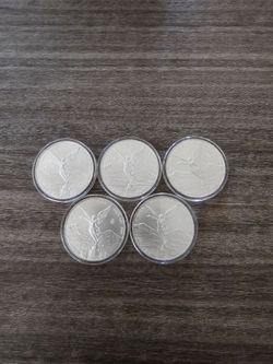 Silver libertad (2023) 5oz lot