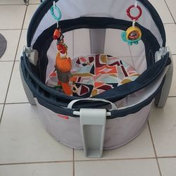 Fisher Price Cuna Moises Domo Portantil Con Mosquitero 0-12 M