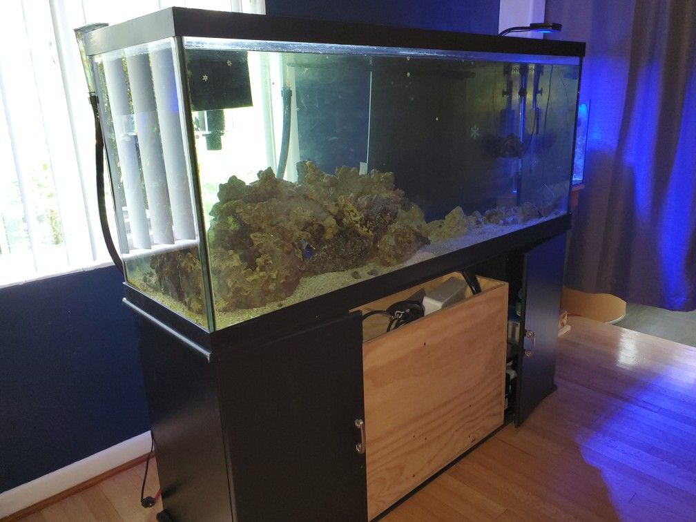 125 Gal.  Aquarium  $ 800.         