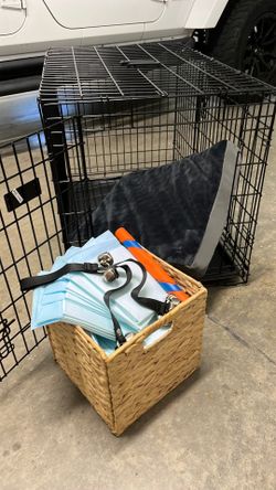 Puppy Starter Kit