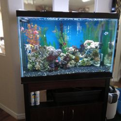 65 Gallon Aquarium 