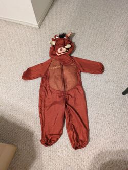 Disney Halloween costume