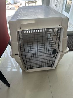 Large Plastic Dog Travel Crate