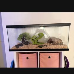 25 gallons fish/reptile tank 