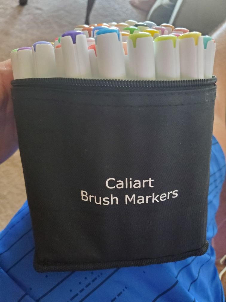 Caliart Alcohol Brush Markers Dual Tip Brush & Chisel (x51)