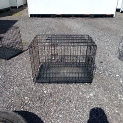Dog Kennel 