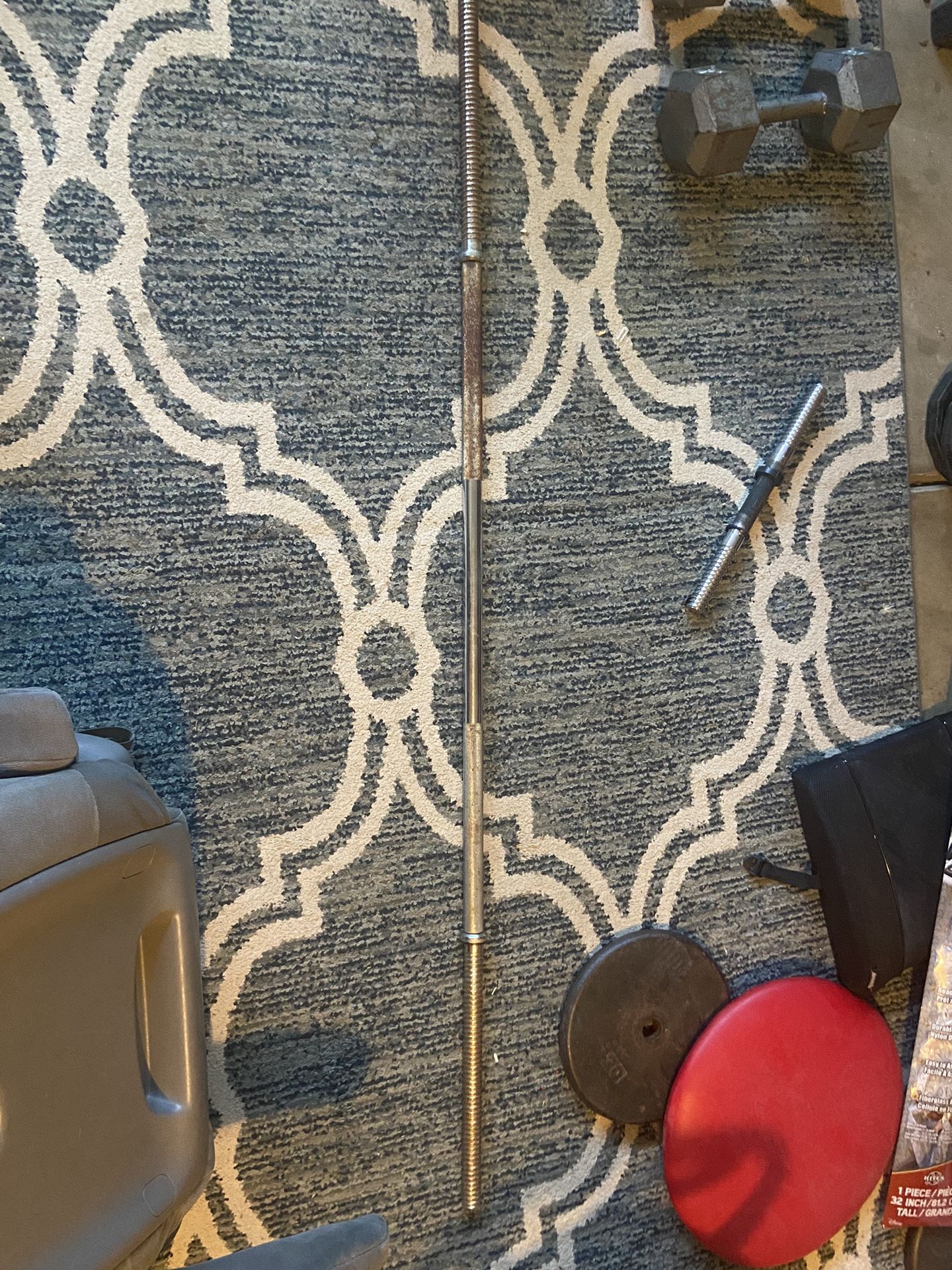 Straight Bar Curl