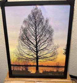 White Rock Lake Dallas Framed Photography Wall Art Set of 3 – Sunset Nature Prints