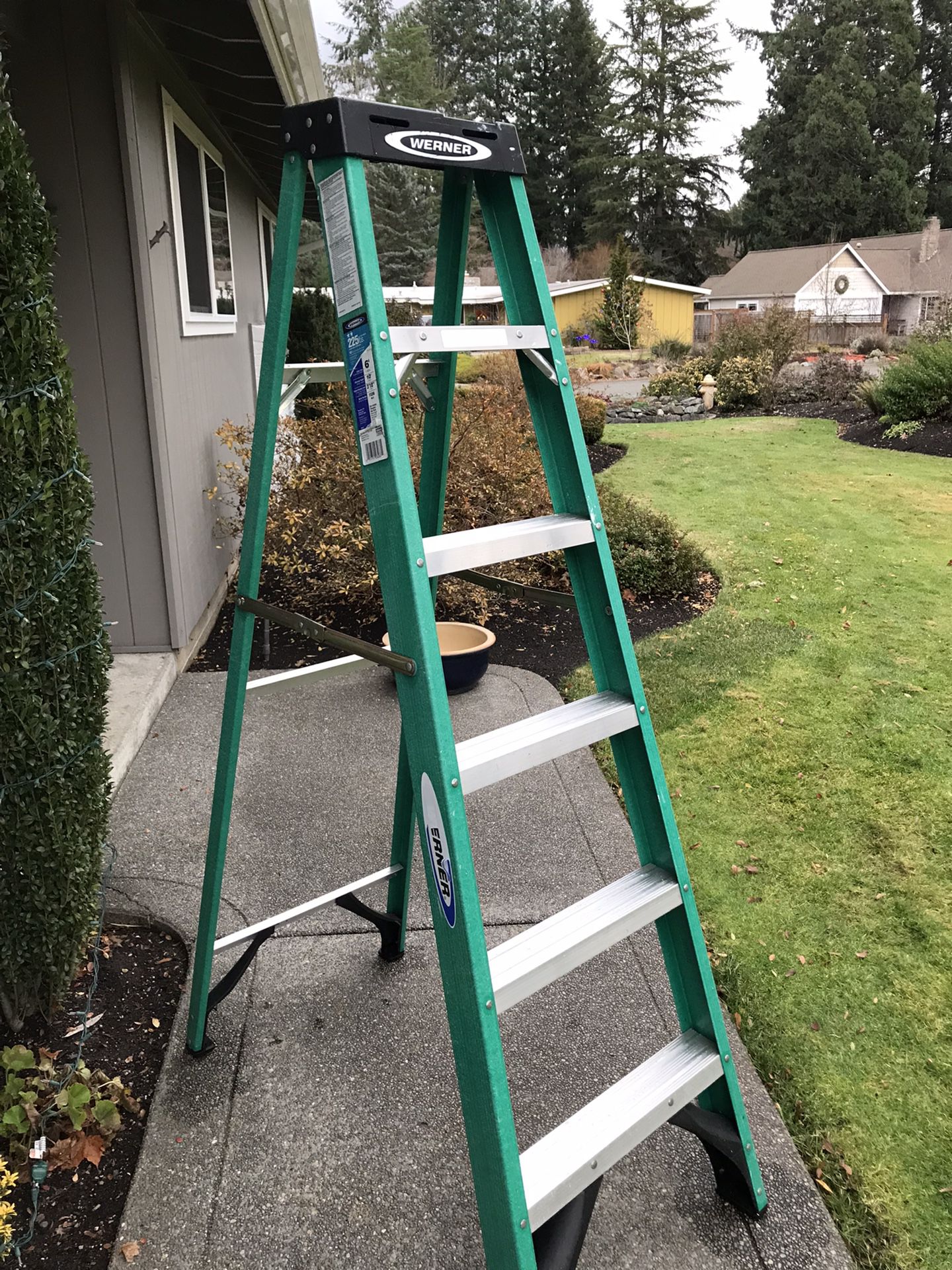 Werner 6 Foot Ladder 