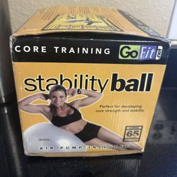  GoFit Professional Grade Stability Ball Fitness Gym