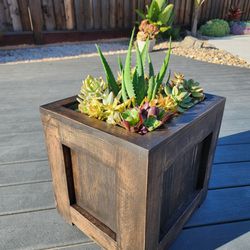 Reclaimed Wood Succulent Planter  Box