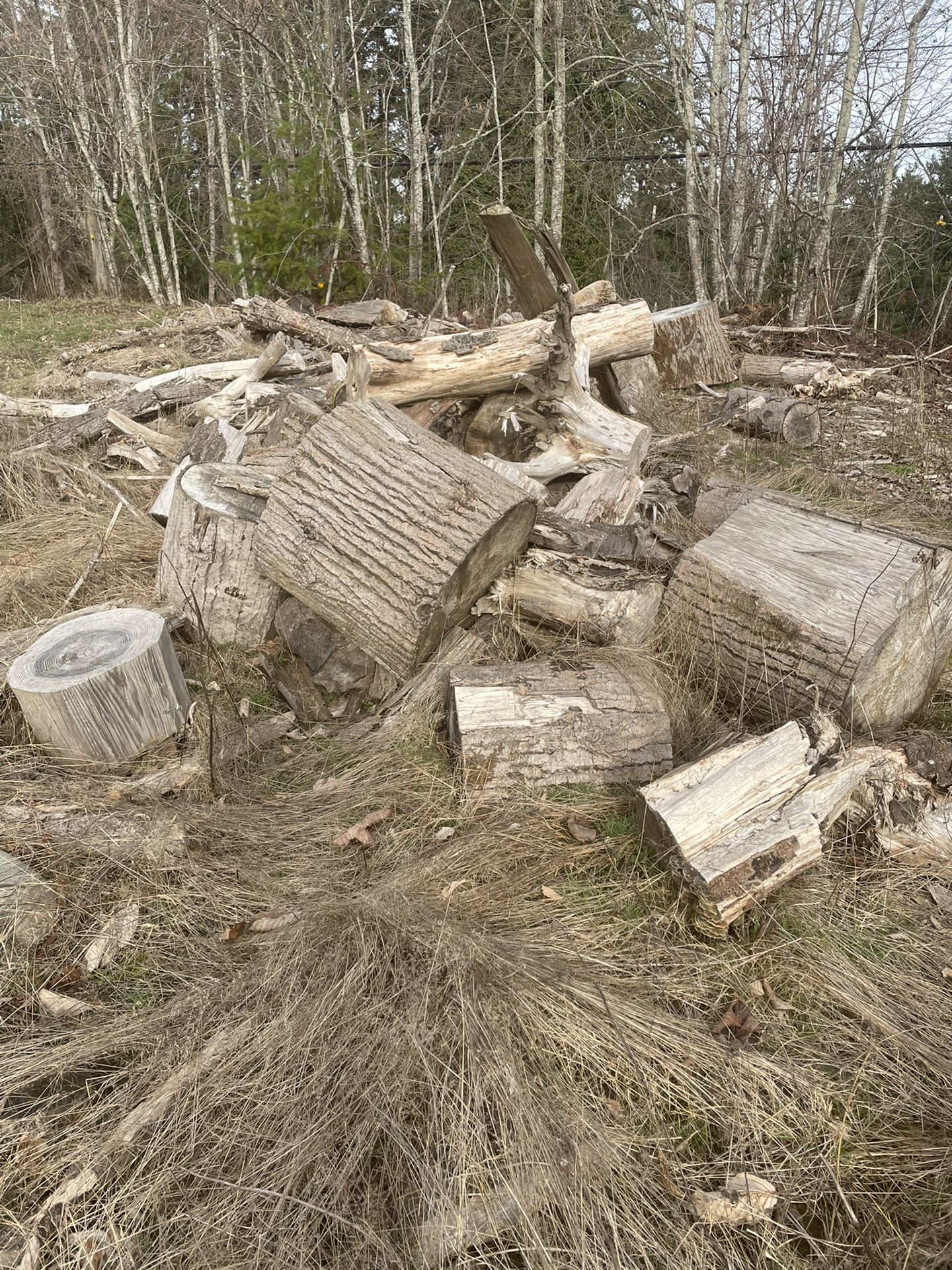 Seasoned Firewood