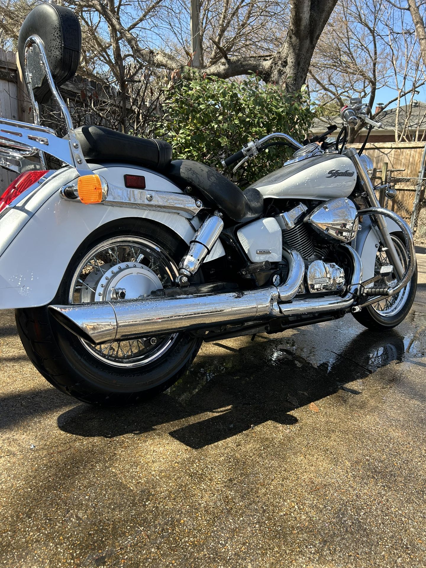 2005 Honda Shadow