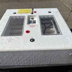Still Large Incubator 