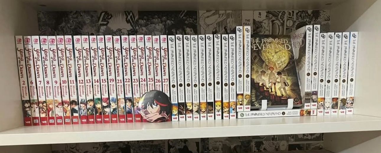 manga lot