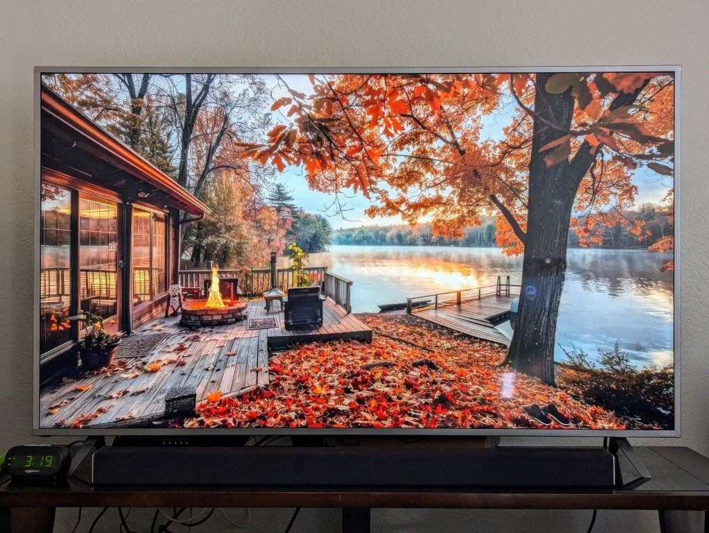 VIZIO 55" 4K Ultra HD TV (P55-E1)