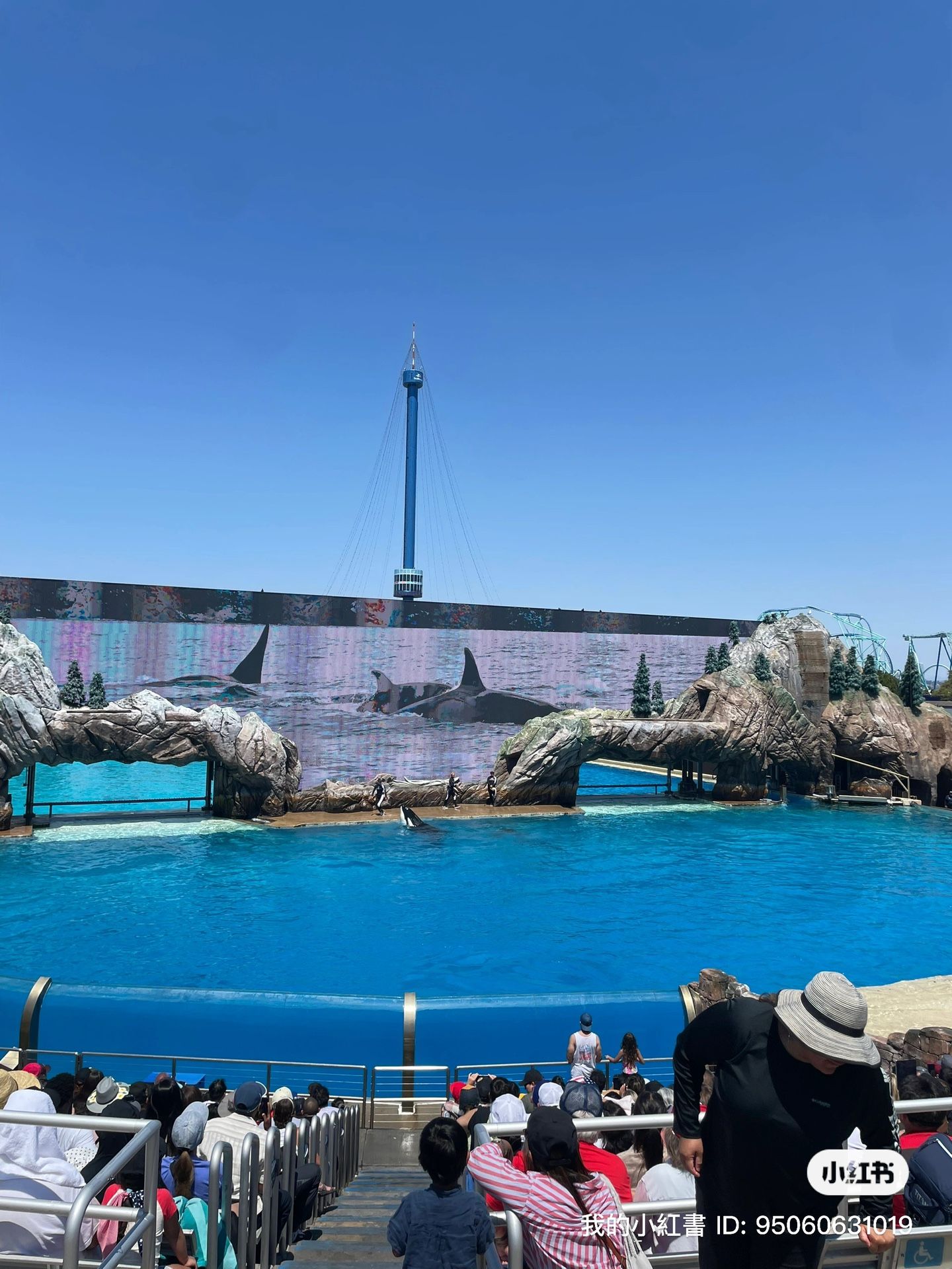 Seaworld Tickets $40 San Diego