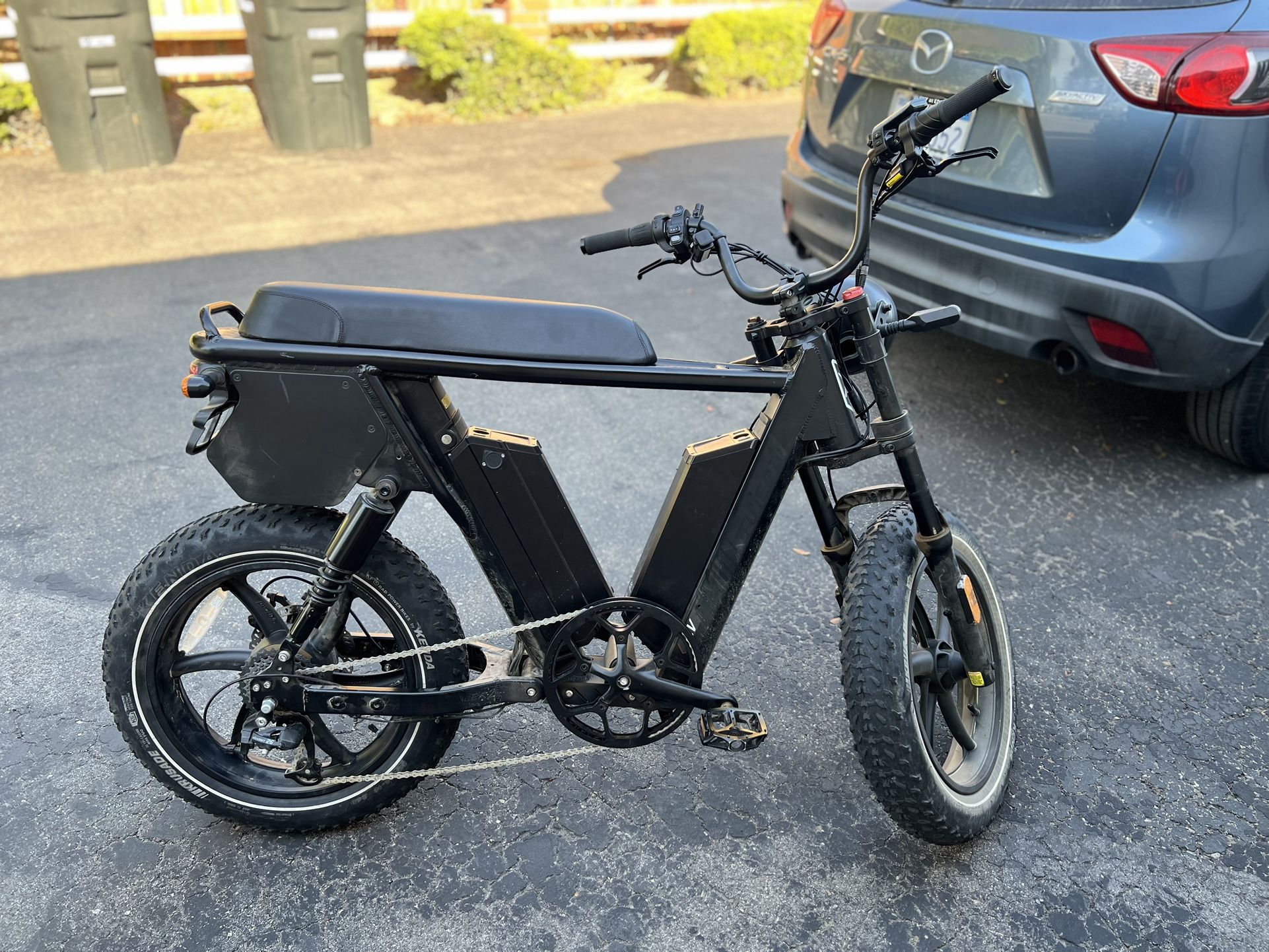 Fat Tire Electric Bike
