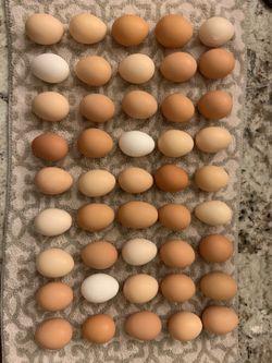 Farm Fresh Eggs