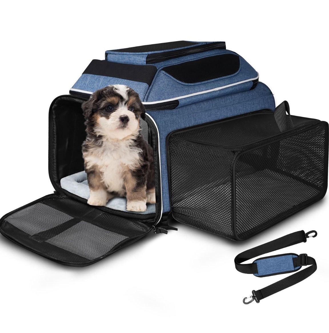Pet Shipping United Airlines Dog Crate Requirements Dog Kennel