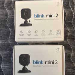 2 Blink Mini Cameras 