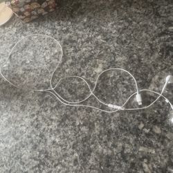 Wired Apple Headphones 