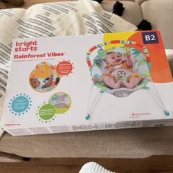Baby Bouncer