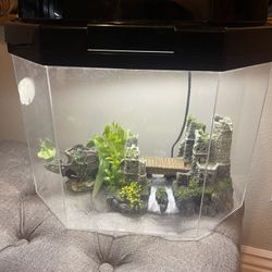 Fish tank