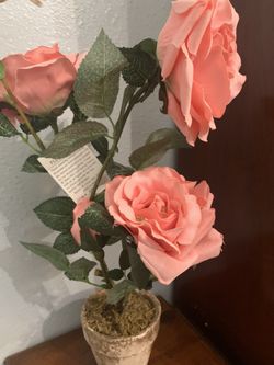 Beautiful silk flowers “fleur by Lisa ) “”