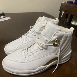 Jordan 12 Size 11