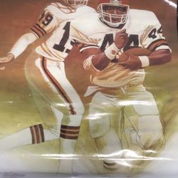 Vintage Brown’s Poster 