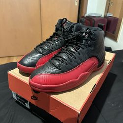 Jordan Retro 12