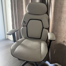 DPS Gaming Chair