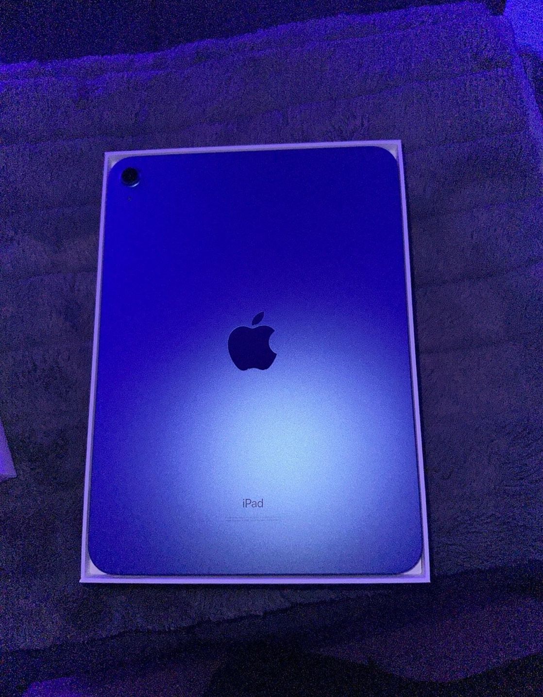 Blue iPad 10th Generation