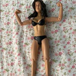 WWE jakks Vickie Guerrero actions figure 