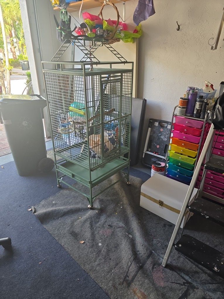 Bird Cage