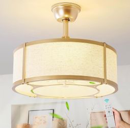 New 20” Caged Fandelier Ceiling Fan with Lights&Remote Control, Gold Boho E26 Adjustable Height