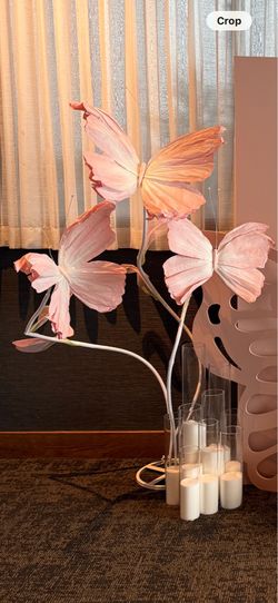Giant Butterfly Props